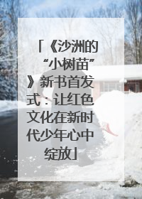 《沙洲的“小树苗”》新书首发式：让红色文化在新时代少年心中绽放