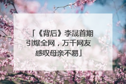 《背后》李晟首期引爆全网，万千网友感叹母亲不易