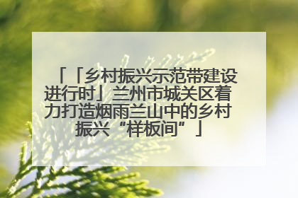「乡村振兴示范带建设进行时」兰州市城关区着力打造烟雨兰山中的乡村振兴“样板间”