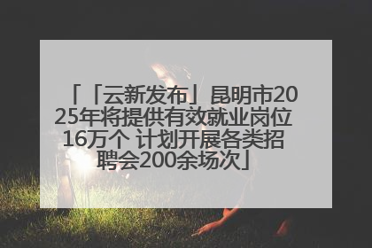 「云新发布」昆明市2025年将提供有效就业岗位16万个 计划开展各类招聘会200余场次
