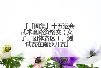 「图集」十五运会武术套路资格赛（女子、团体赛区）、测试赛在南沙开赛