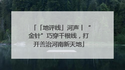 「地评线」河声丨“金针”巧穿千根线，打开善治河南新天地