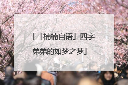 「楠楠自语」四字弟弟的如梦之梦