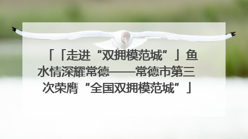 「走进“双拥模范城”」鱼水情深耀常德——常德市第三次荣膺“全国双拥模范城”
