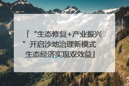 “生态修复+产业振兴”开启沙地治理新模式 生态经济实现双效益