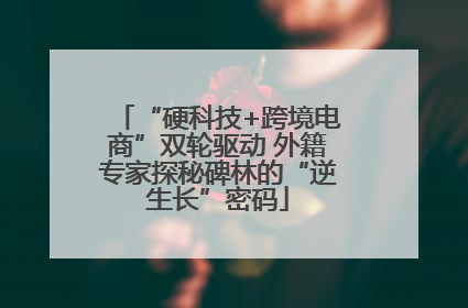“硬科技+跨境电商”双轮驱动 外籍专家探秘碑林的“逆生长”密码