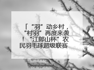 “羽”动乡村，“村羽”再度来袭！“江郎山杯”农民羽毛球超级联赛第二站圆满落幕