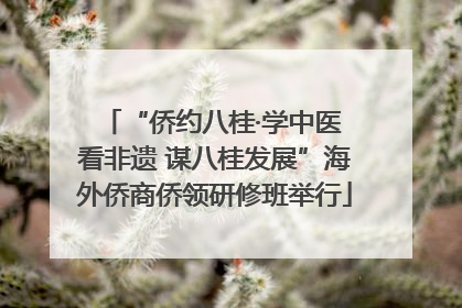 “侨约八桂·学中医 看非遗 谋八桂发展”海外侨商侨领研修班举行