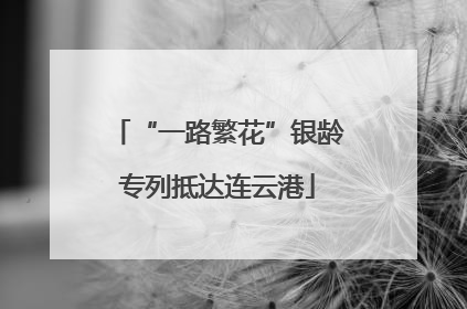“一路繁花”银龄专列抵达连云港