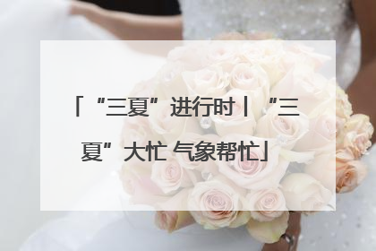 “三夏”进行时丨“三夏”大忙 气象帮忙