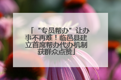 “专员帮办”让办事不再难！临邑县建立首席帮办代办机制获群众点赞