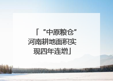 “中原粮仓”河南耕地面积实现四年连增