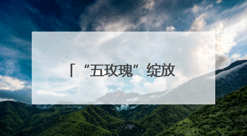 “五玫瑰”绽放 新城小学混编少年足球队勇夺四强