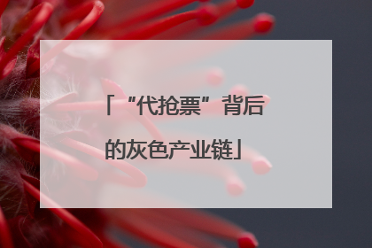 “代抢票”背后的灰色产业链