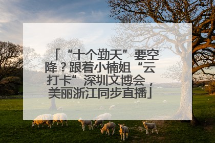“十个勤天”要空降？跟着小楠姐“云打卡”深圳文博会，美丽浙江同步直播