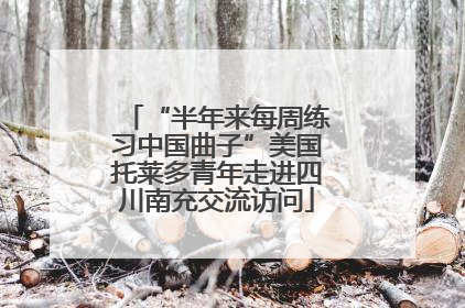 “半年来每周练习中国曲子”美国托莱多青年走进四川南充交流访问