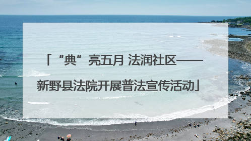 “典”亮五月 法润社区——新野县法院开展普法宣传活动