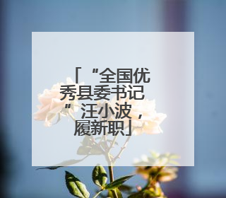 “全国优秀县委书记”汪小波，履新职