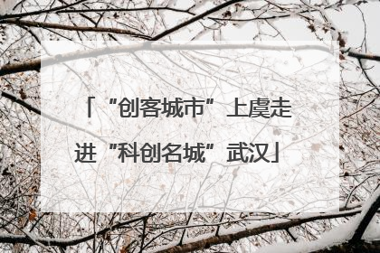 “创客城市”上虞走进“科创名城”武汉