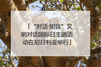 “对话·知音”文明对话国际日主题活动在尼日利亚举行