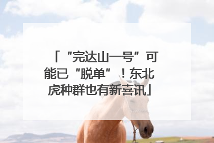 “完达山一号”可能已“脱单”！东北虎种群也有新喜讯