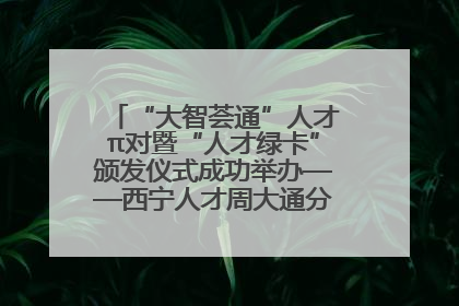“大智荟通”人才π对暨“人才绿卡”颁发仪式成功举办——西宁人才周大通分会场亮点纷呈