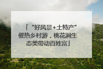 “好风景+土特产”催热乡村游，桃花涧生态美带动百姓富