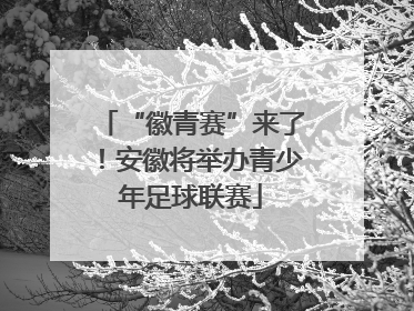 “徽青赛”来了！安徽将举办青少年足球联赛