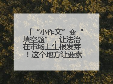 “小作文”变“填空题”，让法治在市场上生根发芽！这个地方让要素式文书入民心