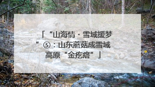 “山海情・雪域援梦”⑤：山东蘑菇成雪域高原“金疙瘩”