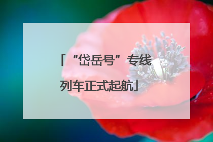 “岱岳号”专线列车正式起航