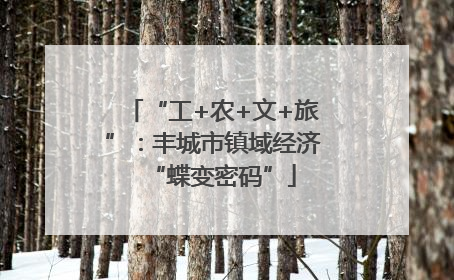 “工+农+文+旅”：丰城市镇域经济“蝶变密码”