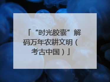 “时光胶囊”解码万年农耕文明（考古中国）