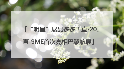 “明星”展品多多！直-20、直-9ME首次亮相巴黎航展