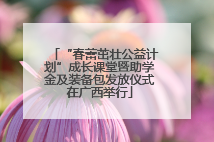 “春蕾茁壮公益计划”成长课堂暨助学金及装备包发放仪式在广西举行