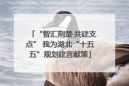 “智汇荆楚·共建支点” 我为湖北“十五五”规划建言献策