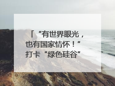 “有世界眼光，也有国家情怀！”打卡“绿色硅谷”，博主新解乐山｜网络名人四川行