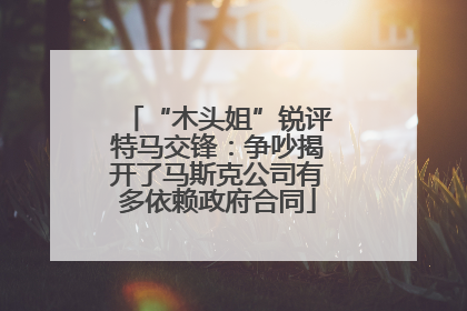 “木头姐”锐评特马交锋：争吵揭开了马斯克公司有多依赖政府合同