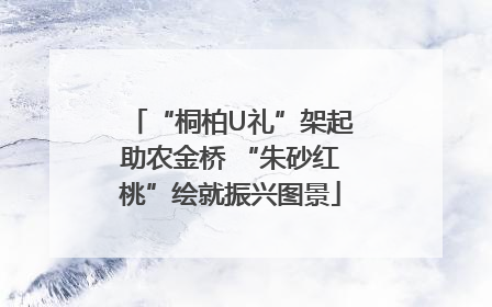 “桐柏U礼”架起助农金桥 “朱砂红桃”绘就振兴图景