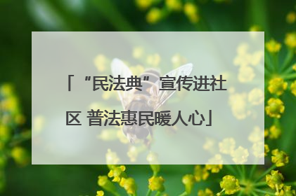 “民法典”宣传进社区 普法惠民暖人心