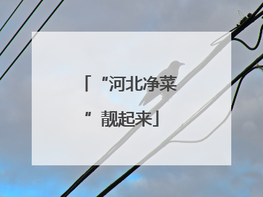 “河北净菜”靓起来