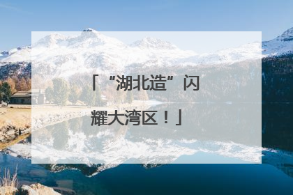 “湖北造”闪耀大湾区！