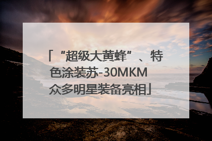 “超级大黄蜂”、特色涂装苏-30MKM 众多明星装备亮相