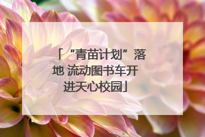 “青苗计划”落地 流动图书车开进天心校园