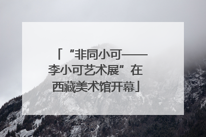 “非同小可——李小可艺术展”在西藏美术馆开幕