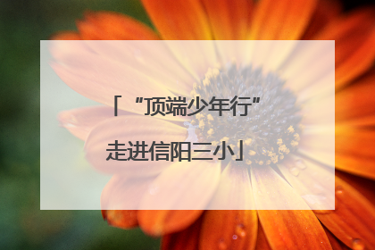 “顶端少年行”走进信阳三小