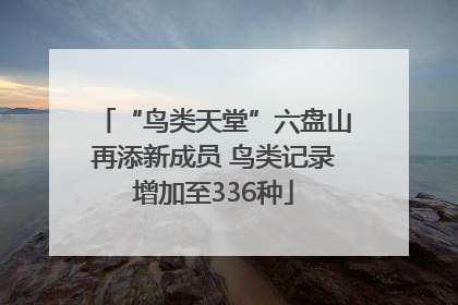 “鸟类天堂”六盘山再添新成员 鸟类记录增加至336种