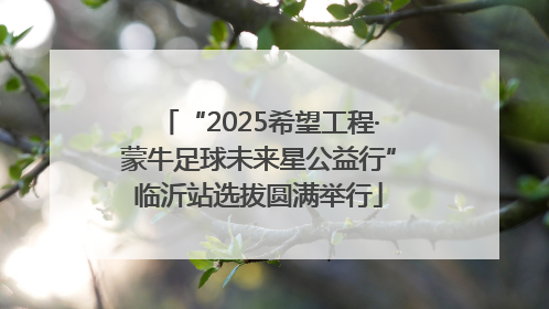 “2025希望工程·蒙牛足球未来星公益行”临沂站选拔圆满举行