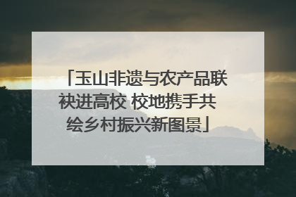 玉山非遗与农产品联袂进高校 校地携手共绘乡村振兴新图景