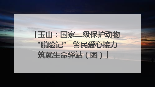 玉山：国家二级保护动物“脱险记” 警民爱心接力筑就生命驿站（图）